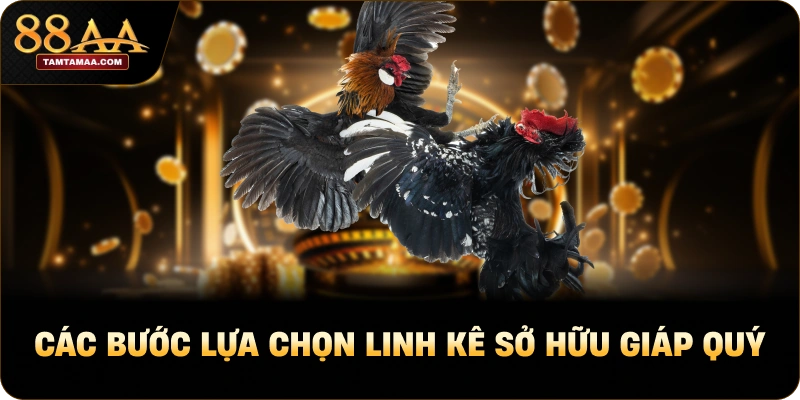 Các bước lựa chọn linh kê sở hữu giáp quý